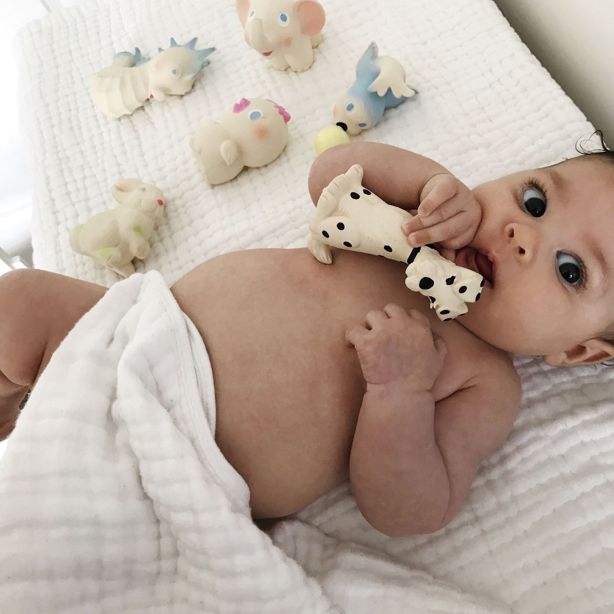 oli-&-carol-vintage-bob-the-bunny-teether- (10)